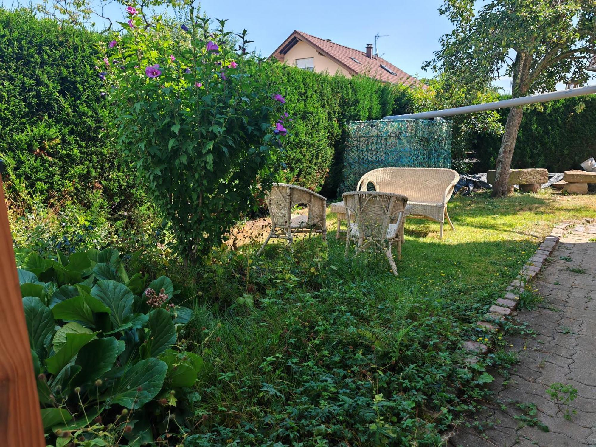 Appartement " Le Chardonneret " Issenheim Екстер'єр фото